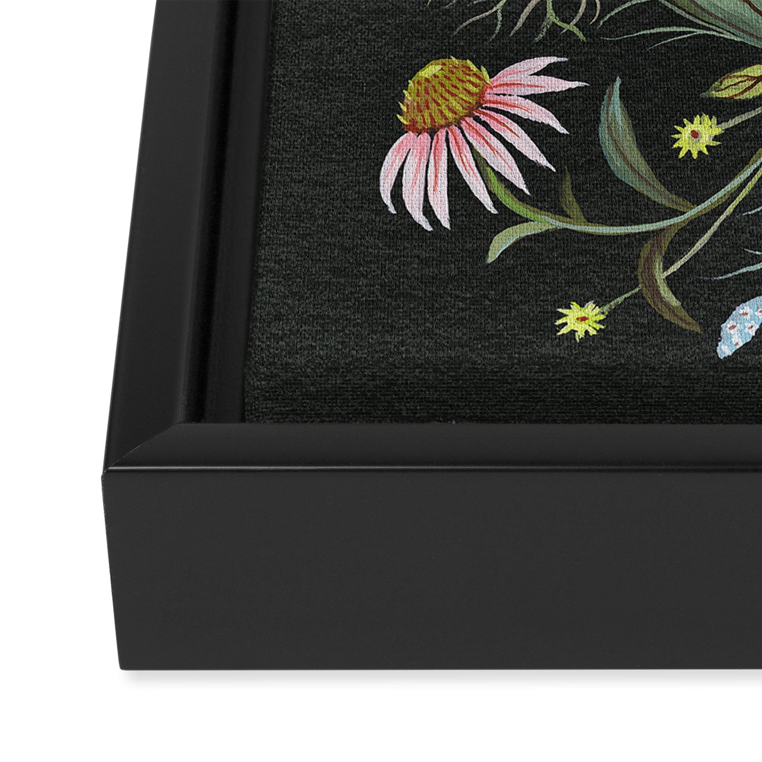Echinacea and Finches Framed Canvas Print Gallery Image 3