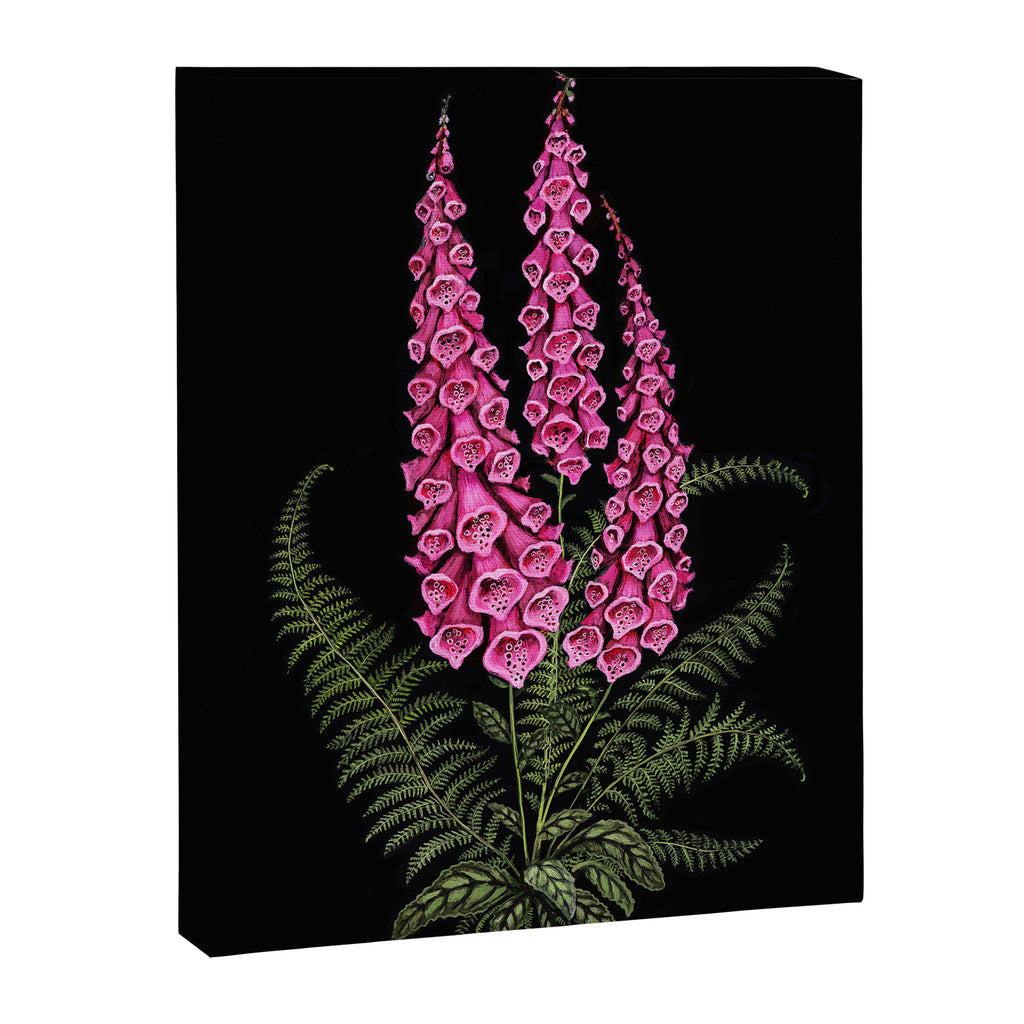 Foxglove and Fern Canvas Print Gallery Image 6