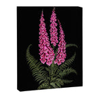 Foxglove and Fern Canvas Print Gallery Image 6