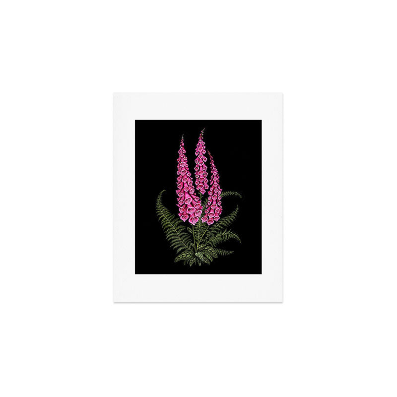 Foxglove and Fern Art Print Gallery Image 1