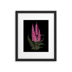 Foxglove and Fern Framed Art Print Gallery Image 5
