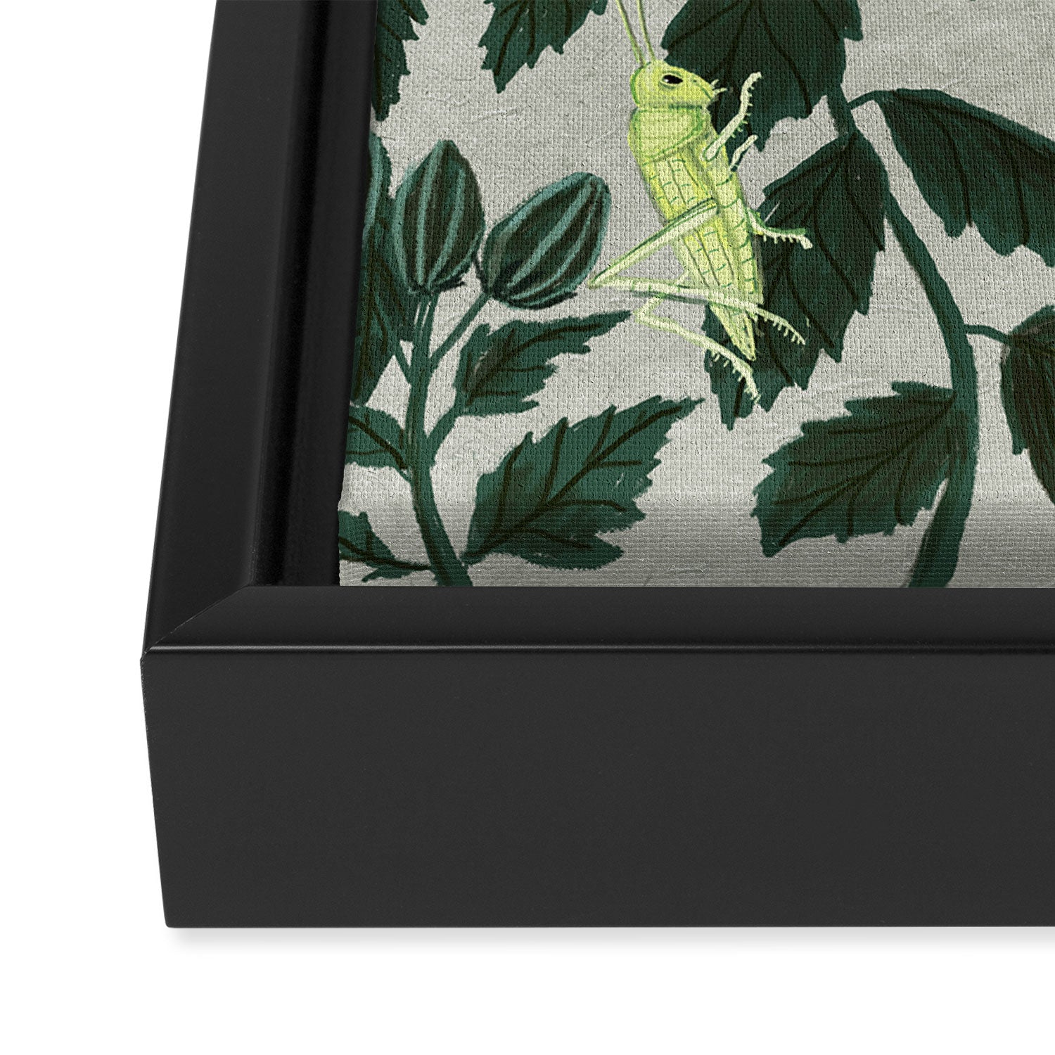 Grasshoppers and Dragonflies Framed Canvas Print Gallery Image 3