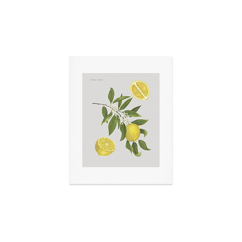 Lemon Tree Art Print Gallery Image 1