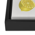 Lemon Tree Framed Canvas Print Gallery Image 3