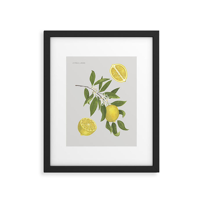 Lemon Tree Framed Art Print Gallery Image 1