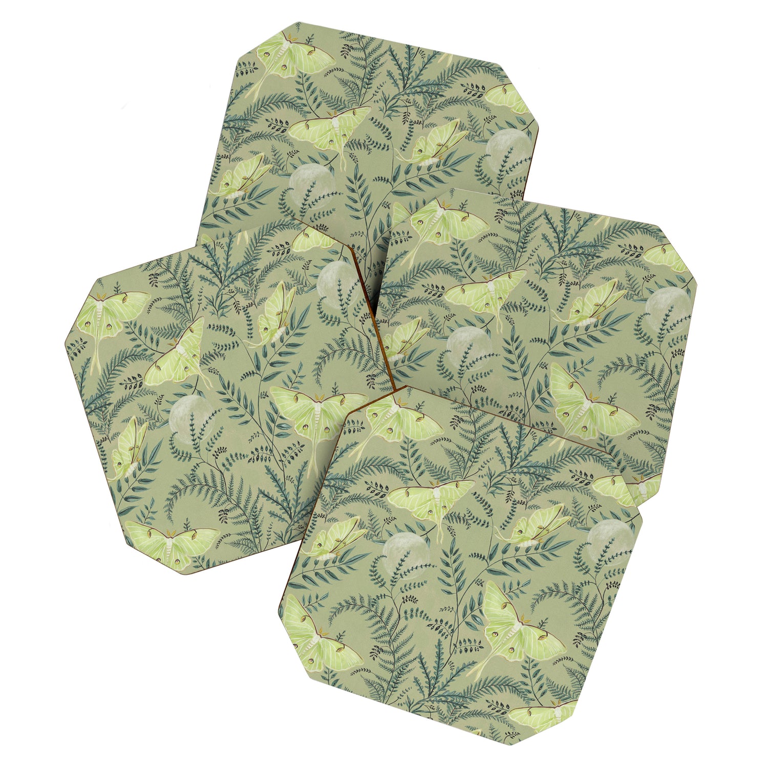 Luna Moths on Pale Green Coaster Gallery Image 1