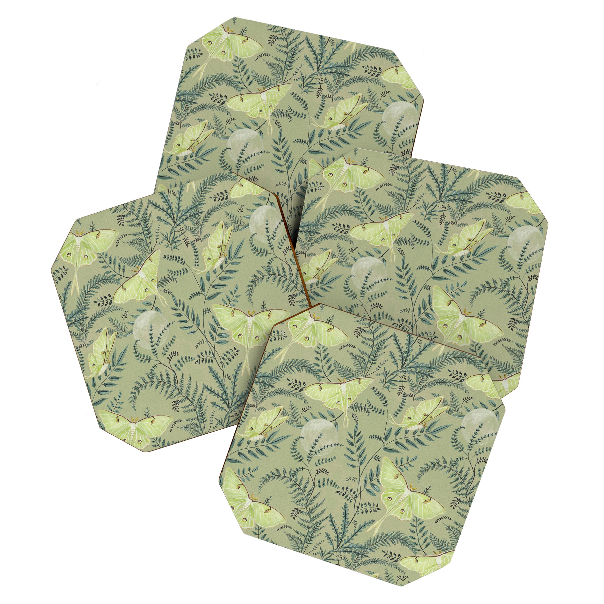 Luna Moths on Pale Green Coaster Gallery Image 1