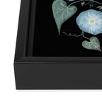 Morning Glory and Thistle Framed Canvas Print Gallery Image 3