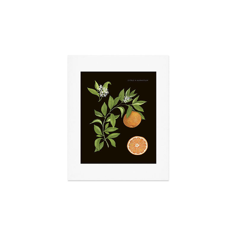 Seville Orange Art Print Gallery Image 1