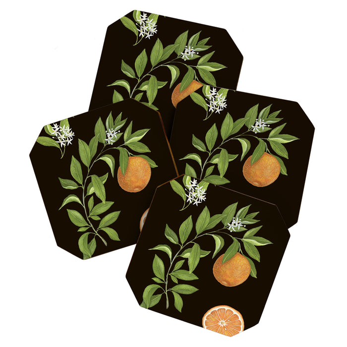 Seville Orange Coaster Gallery Image 1