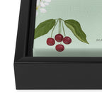Siberian Crabapple Framed Canvas Print Gallery Image 3