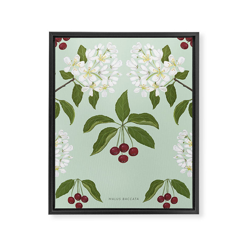 Siberian Crabapple Framed Canvas Print Gallery Image 6