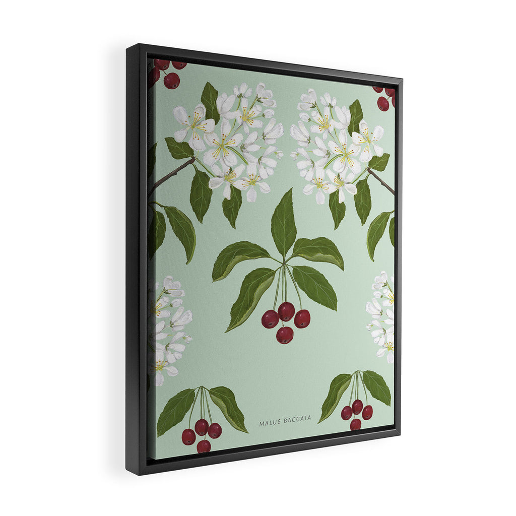 Siberian Crabapple Framed Canvas Print Gallery Image 2