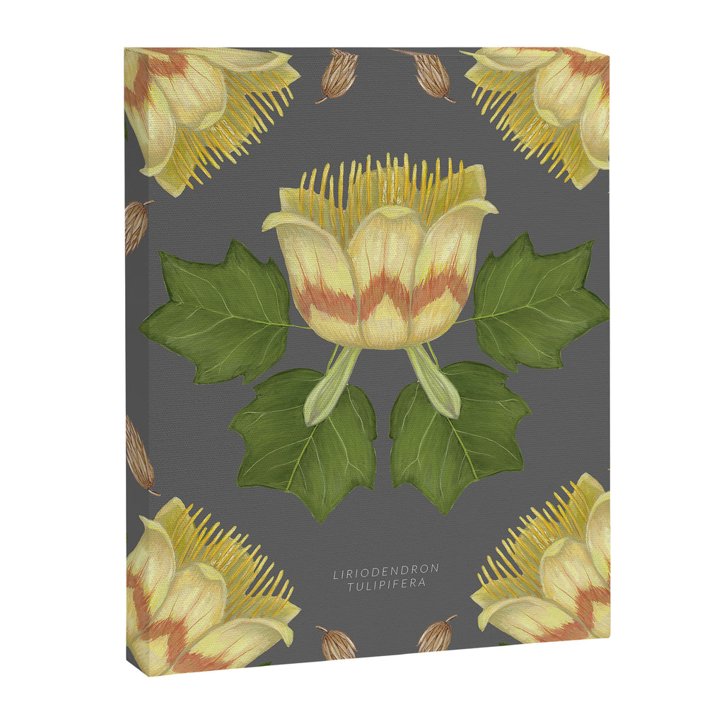 Tulip Tree Canvas Print Gallery Image 6