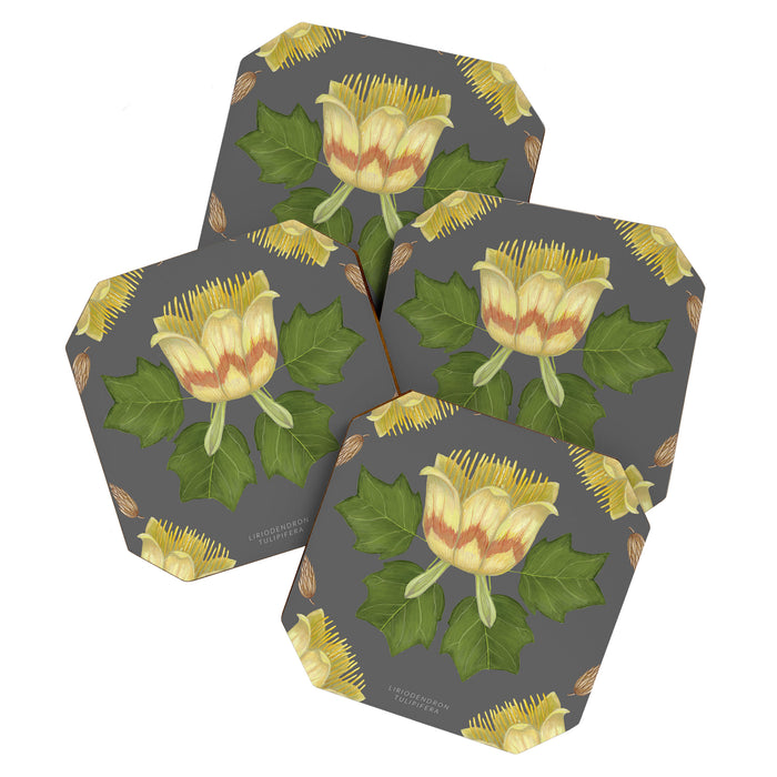 Tulip Tree Coaster Gallery Image 1