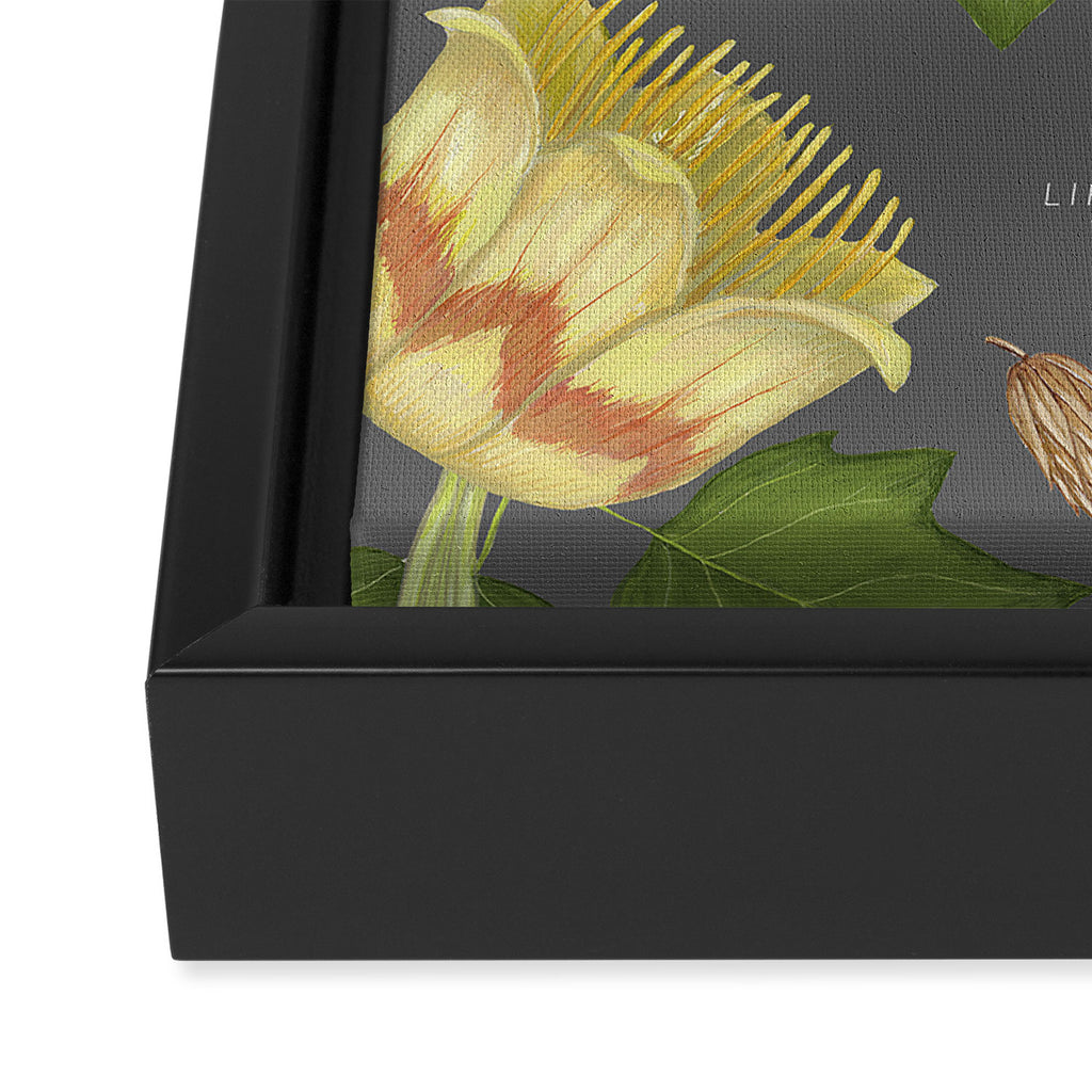 Tulip Tree Framed Canvas Print Gallery Image 3