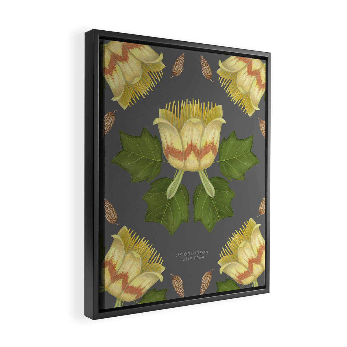 Tulip Tree Framed Canvas Print Gallery Image 2