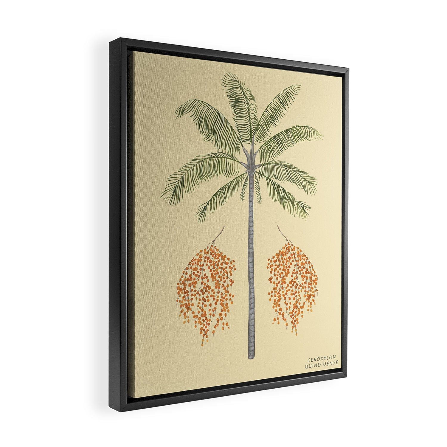 Wax Palm Framed Canvas Print Gallery Image 2