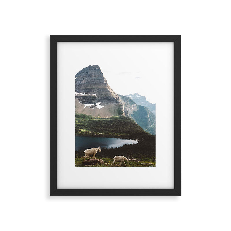 A Walk With The Mountain Goats Framed Art Print Gallery Image 5