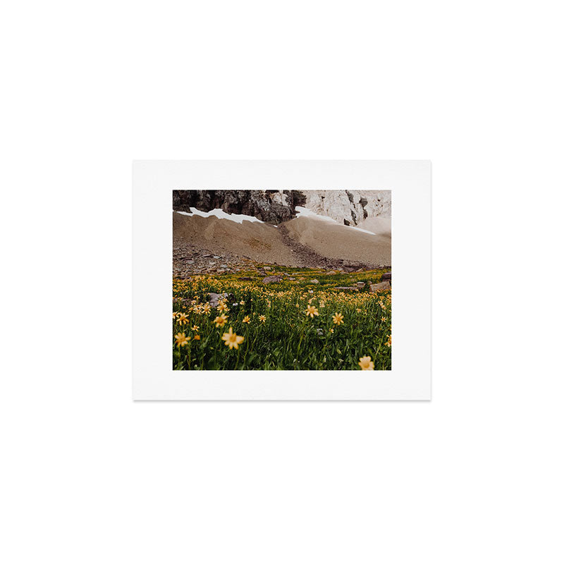 Glacier Wild Flowers Art Print Gallery Image 1