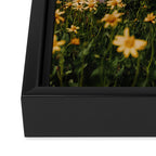 Glacier Wild Flowers Framed Canvas Print Gallery Image 3