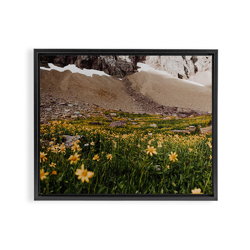 Glacier Wild Flowers Framed Canvas Print Gallery Image 6