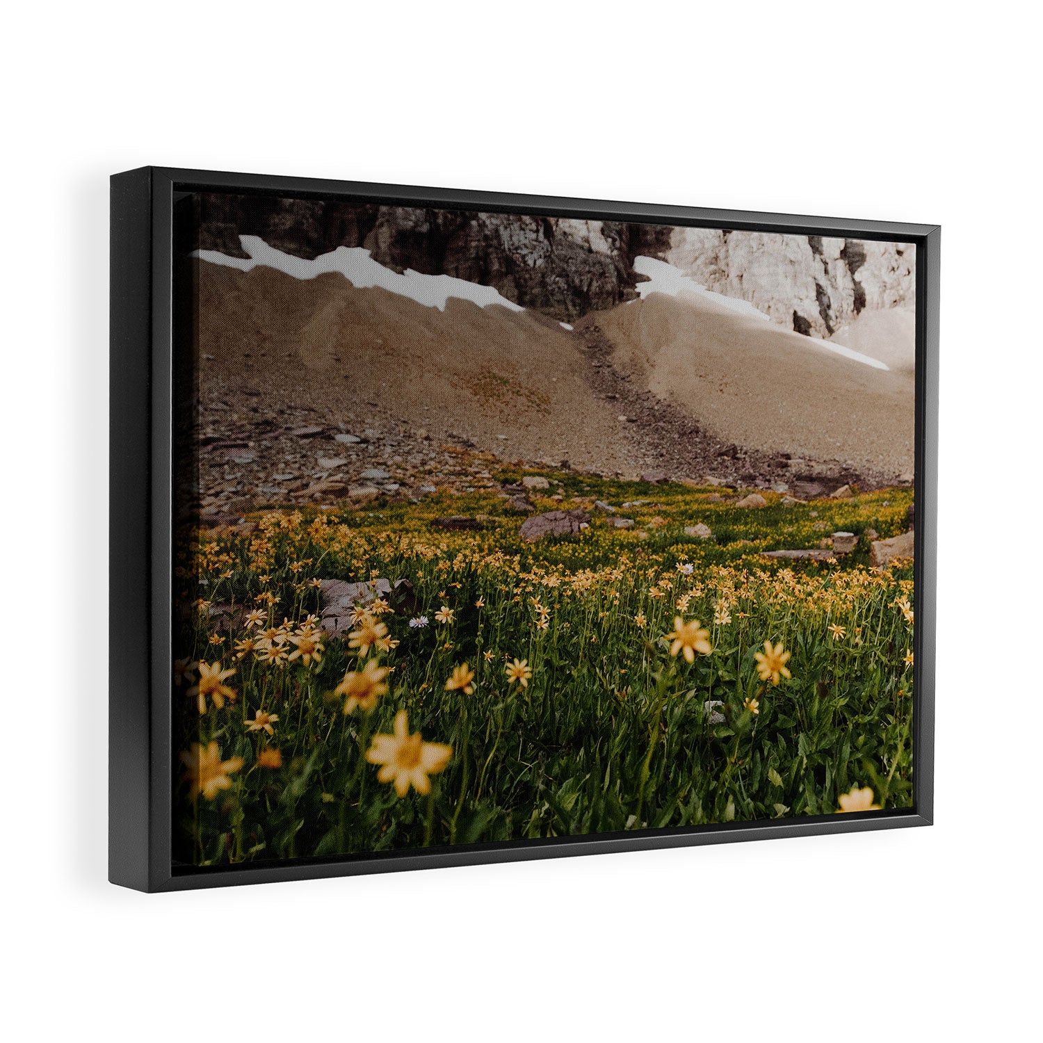 Glacier Wild Flowers Framed Canvas Print Gallery Image 2