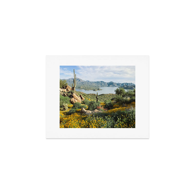 Arizona Blooms Art Print Gallery Image 1