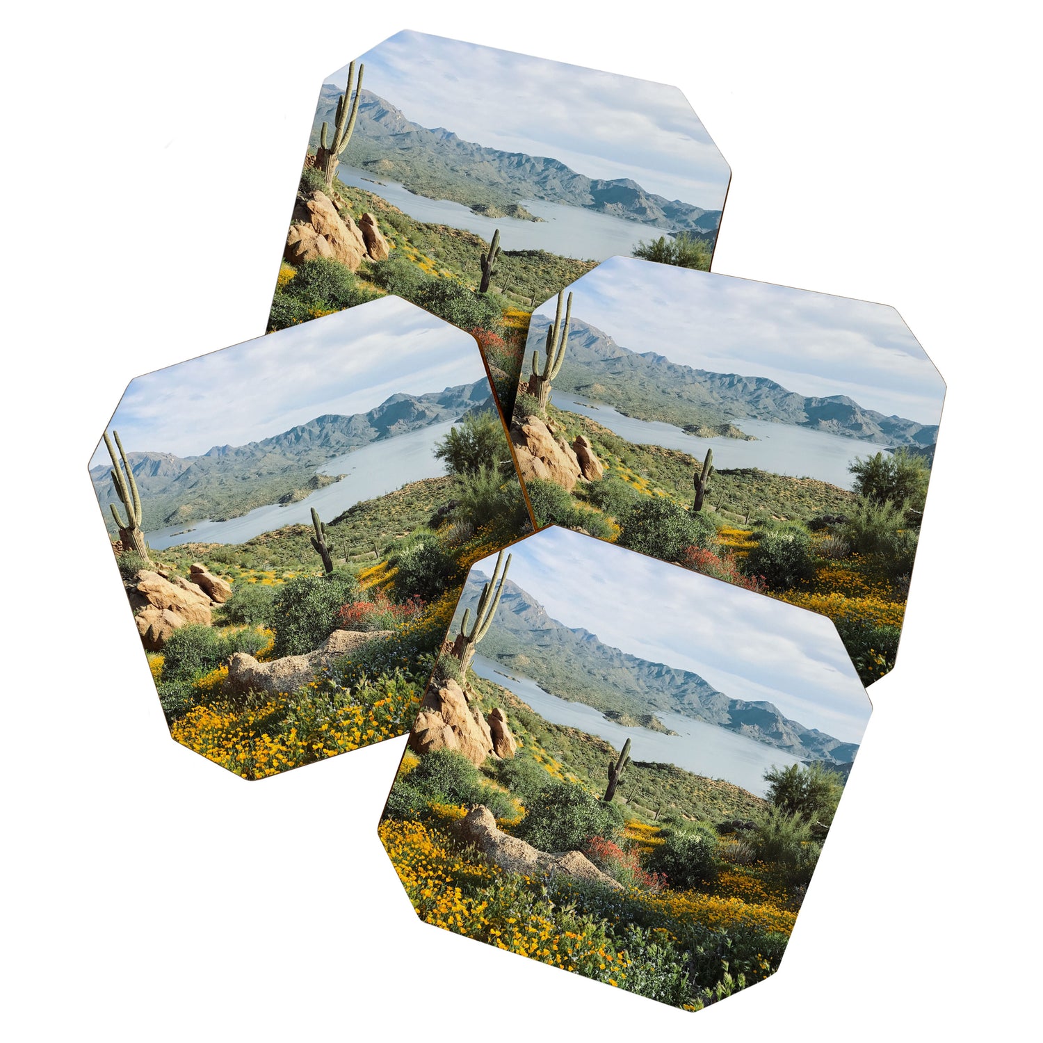 Arizona Blooms Coaster Gallery Image 1