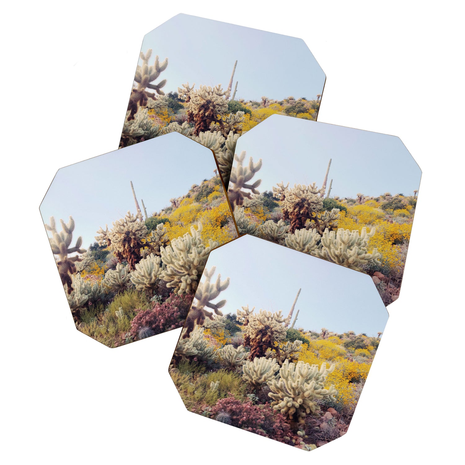 Arizona Color Coaster Gallery Image 1