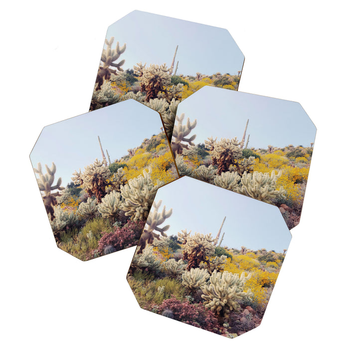 Arizona Color Coaster Gallery Image 1