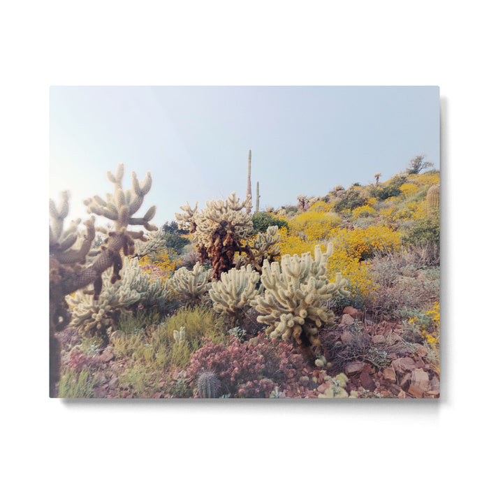 Arizona Color Metal Print Gallery Image 1
