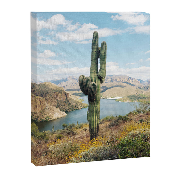 Arizona Saguaro Canvas Print Gallery Image 1