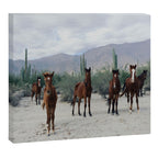 Bahía de los Ángeles Wild Horses Canvas Print Gallery Image 6