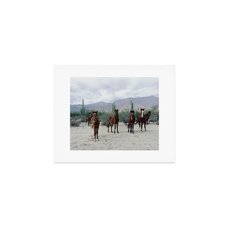 Bahía de los Ángeles Wild Horses Art Print Gallery Image 1