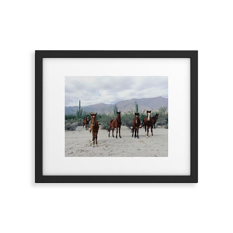 Bahía de los Ángeles Wild Horses Framed Art Print Gallery Image 5