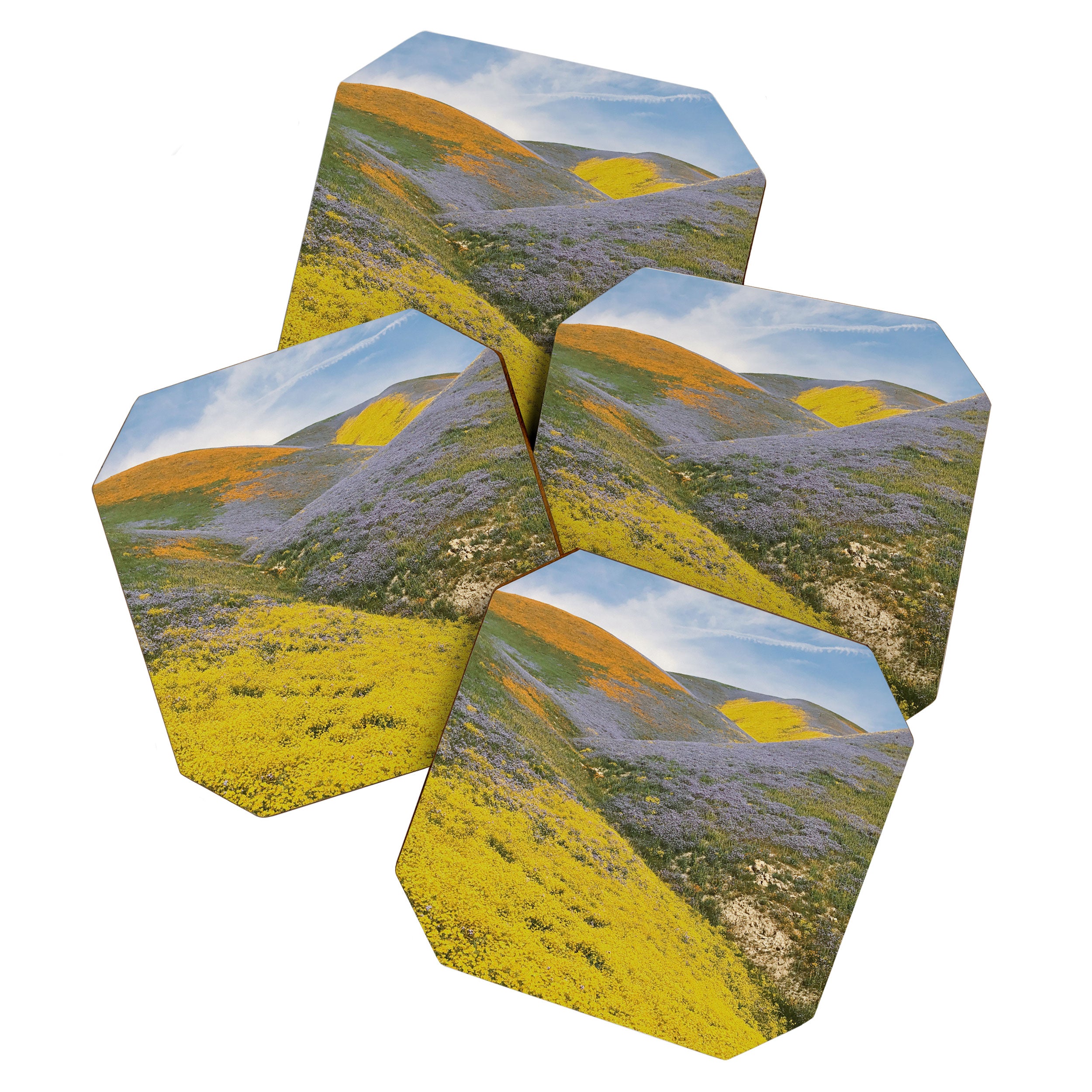 Bloomtown California Coaster Gallery Image 1