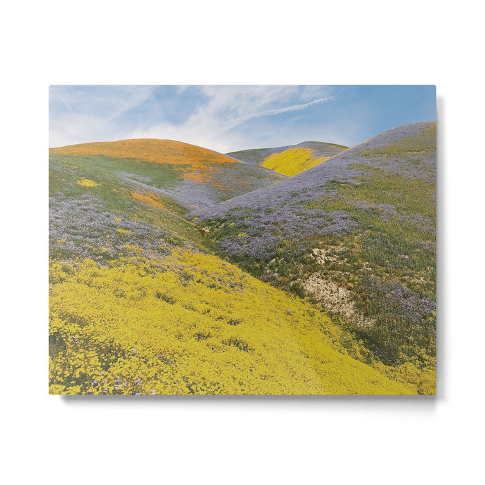Bloomtown California Metal Print Gallery Image 1
