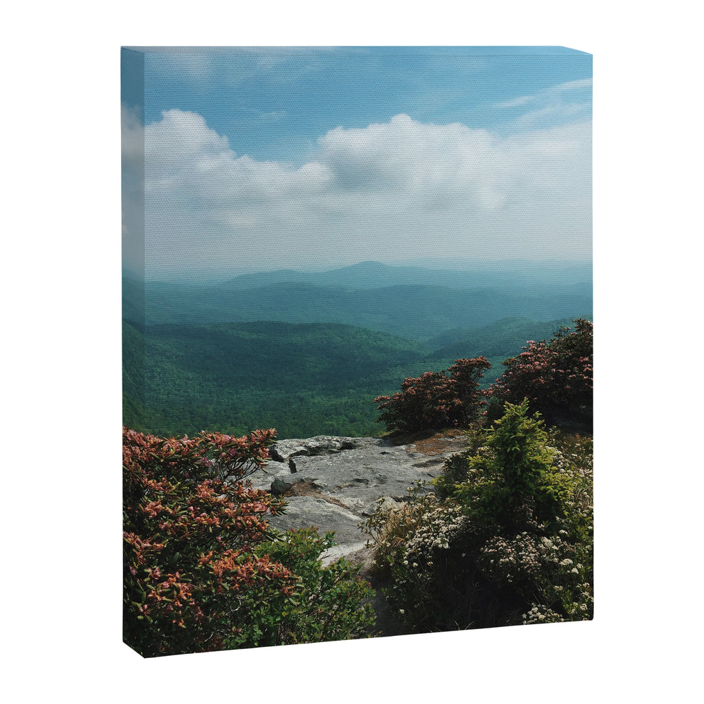 Blue Ridge Mountains Canvas Print Gallery Image 8