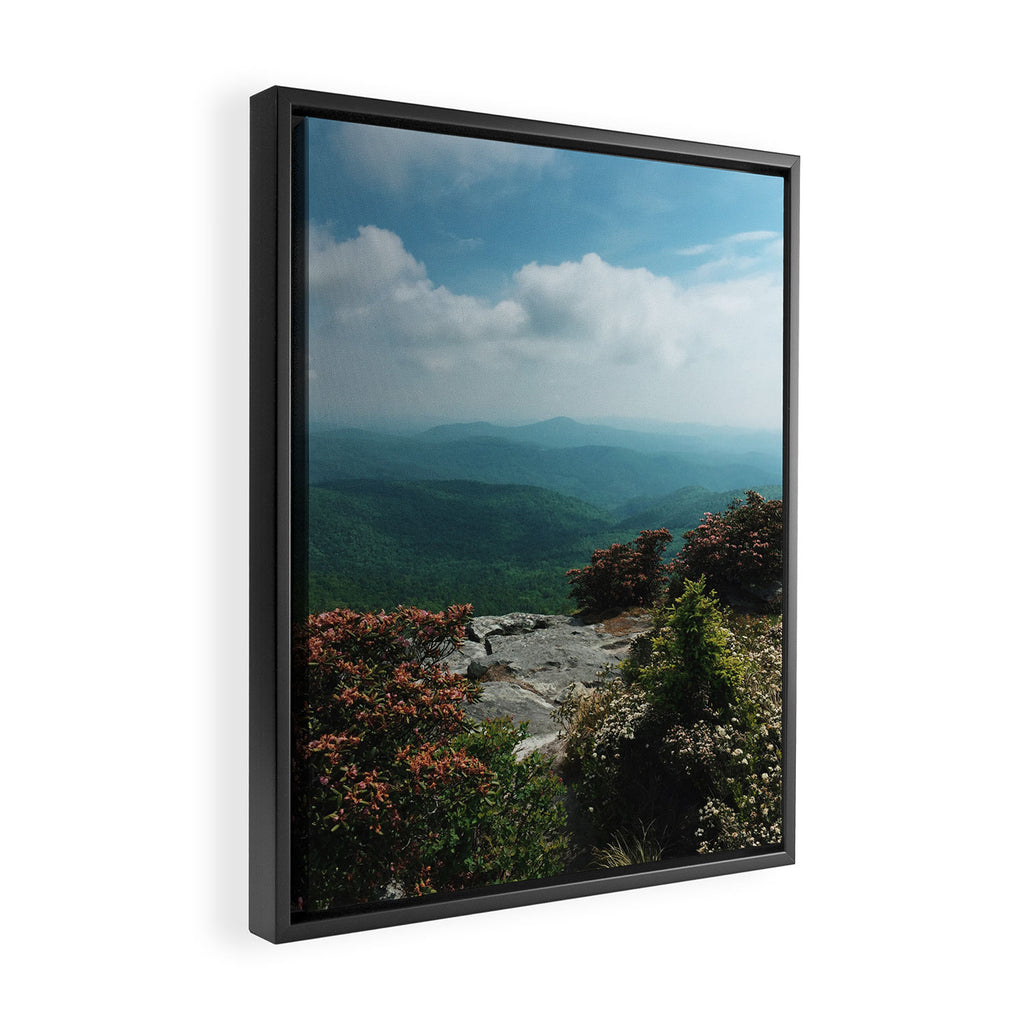 Blue Ridge Mountains Framed Canvas Print Gallery Image 2