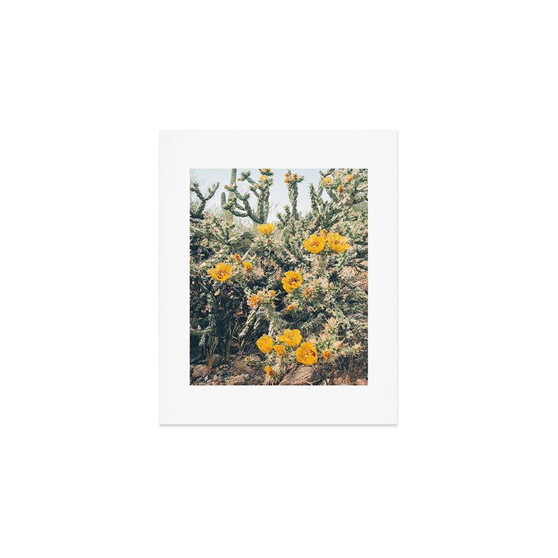 Buckhorn Cholla Cactus Flowers Art Print Gallery Image 1
