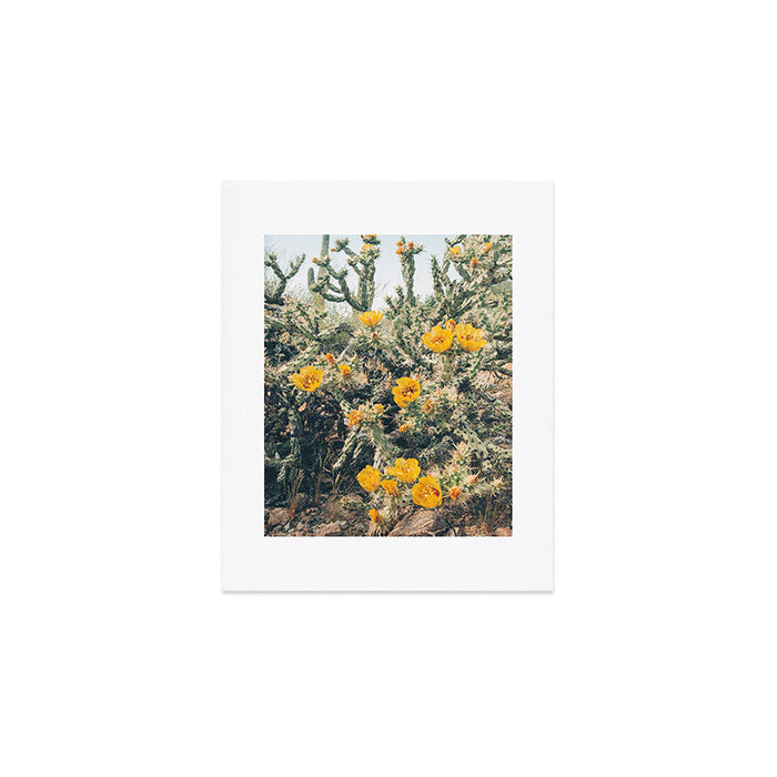 Buckhorn Cholla Cactus Flowers Art Print Gallery Image 1