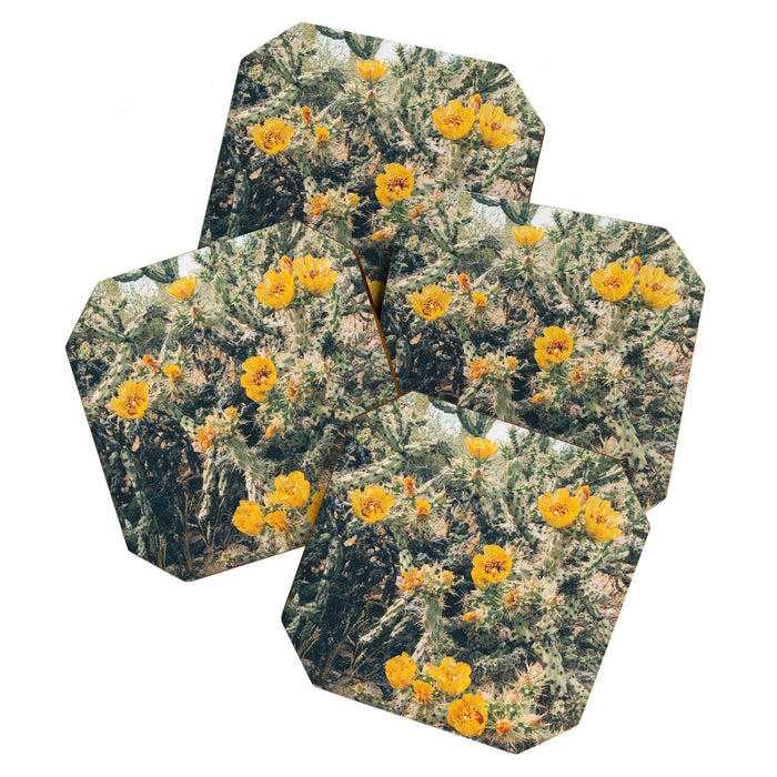 Buckhorn Cholla Cactus Flowers Coaster Gallery Image 1