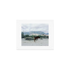 Bucking in Baja Art Print Gallery Image 1