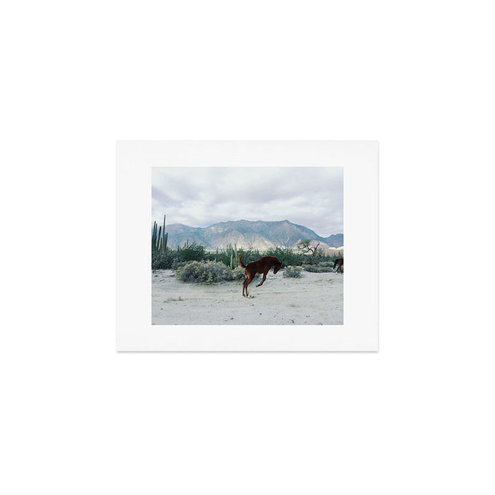 Bucking in Baja Art Print Gallery Image 1