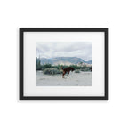 Bucking in Baja Framed Art Print Gallery Image 5