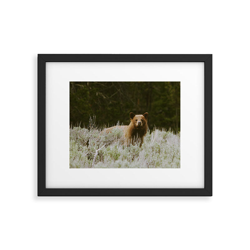 Bush Bear Framed Art Print Gallery Image 5