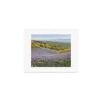 California Wildflowers Art Print Gallery Image 1