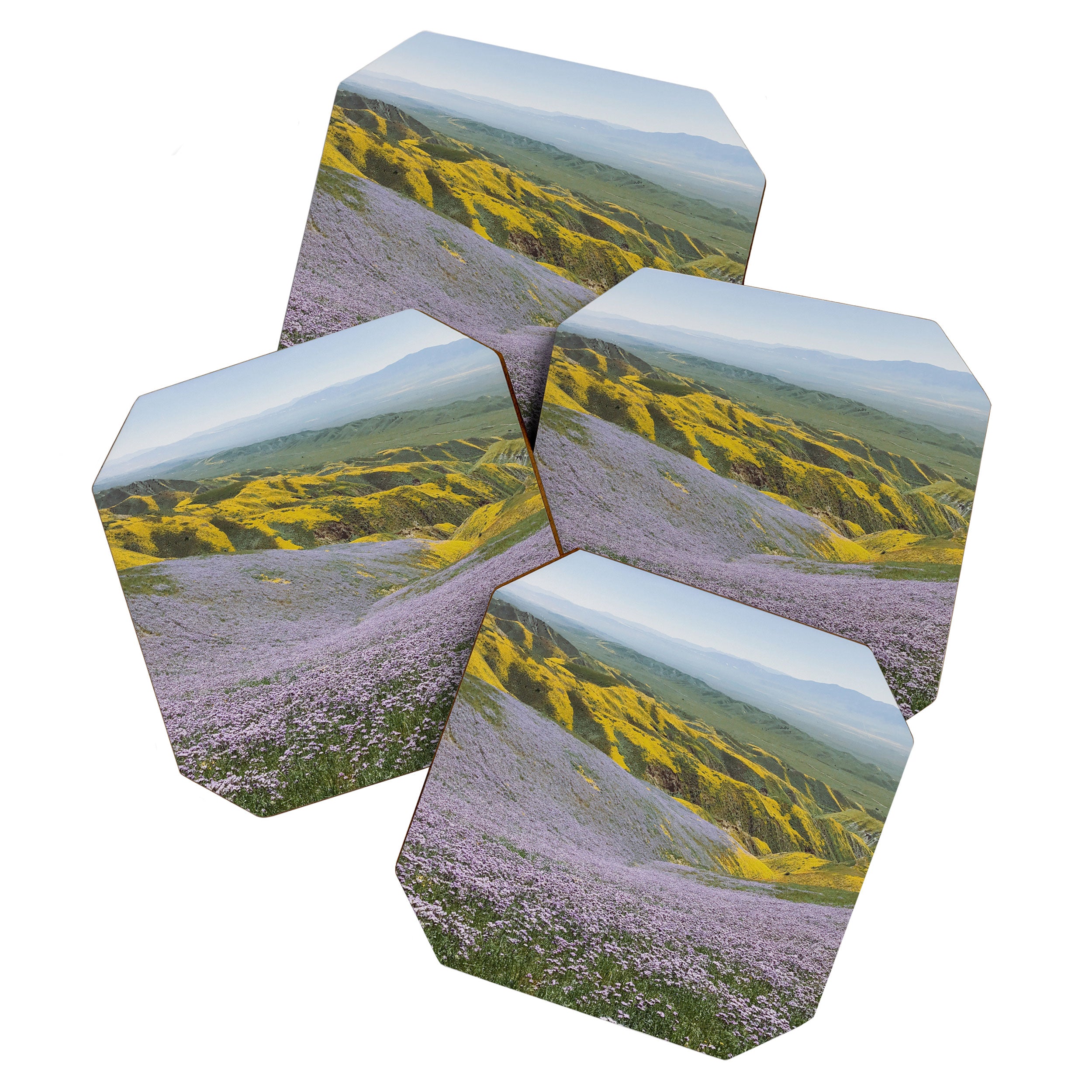 California Wildflowers Coaster Gallery Image 1