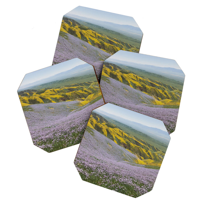 California Wildflowers Coaster Gallery Image 1